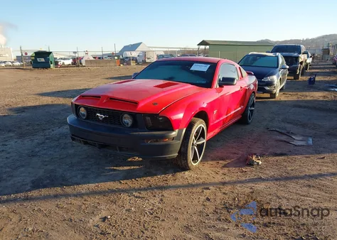 2009 Ford Mustang z USA, uszkodzony, nr VIN 1ZVHT82H095125766